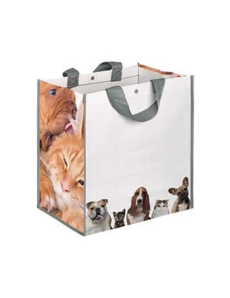 Immagine prestampata gatto